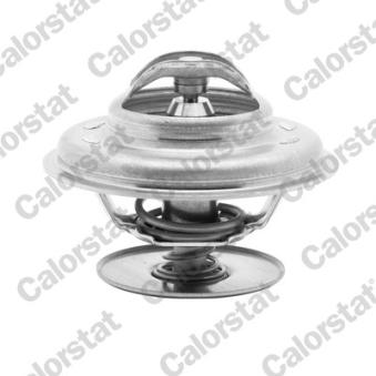Thermostat d'eau CALORSTAT BY VERNET