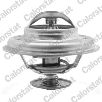Thermostat d'eau CALORSTAT BY VERNET