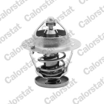 Thermostat d'eau CALORSTAT BY VERNET
