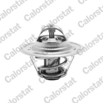 Thermostat d'eau CALORSTAT BY VERNET