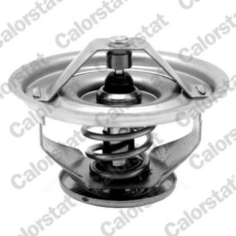 Thermostat d'eau CALORSTAT BY VERNET