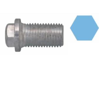 Vis-bouchon, carter d'huile CORTECO 220120S