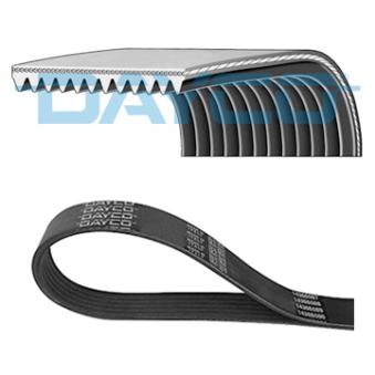 Courroie trapézoïdale à nervures DAYCO 11PK2835HD