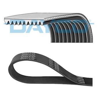 Courroie trapézoïdale à nervures DAYCO 10PK1240KHD