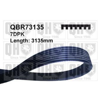 Courroie trapézoïdale à nervures QUINTON HAZELL QBR73135