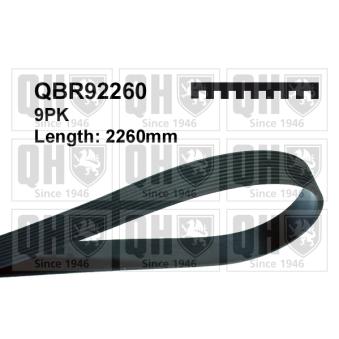 Courroie trapézoïdale à nervures QUINTON HAZELL QBR92260