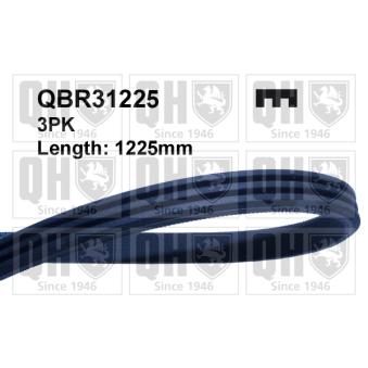 Courroie trapézoïdale à nervures QUINTON HAZELL QBR31225