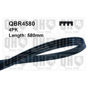 Courroie trapézoïdale à nervures QUINTON HAZELL QBR4580