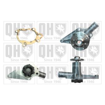 Pompe à eau QUINTON HAZELL QCP178