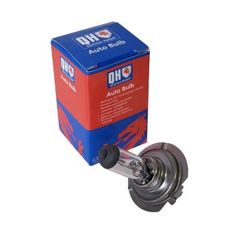 Ampoule, projecteur longue portée QUINTON HAZELL QBL477