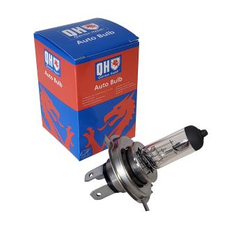 Ampoule, projecteur longue portée QUINTON HAZELL QBL472