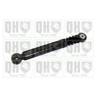 Amortisseur de vibrations, courroie trapézoïdale à nervures QUINTON HAZELL QTA1197H