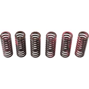 Kit de ressorts d'embrayage TRW MEF307-6