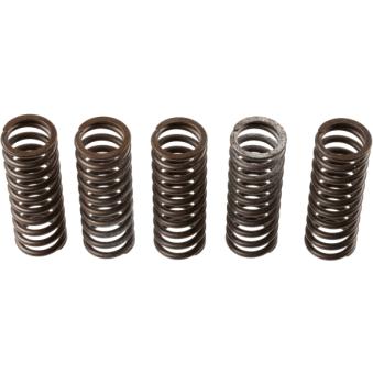 Kit de ressorts d'embrayage TRW MEF308-6