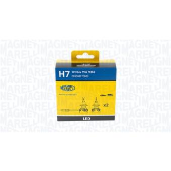 Ampoule, projecteur longue portée MAGNETI MARELLI 003009070000