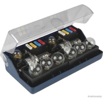 Assortiment, ampoule HERTH+BUSS ELPARTS 89900113