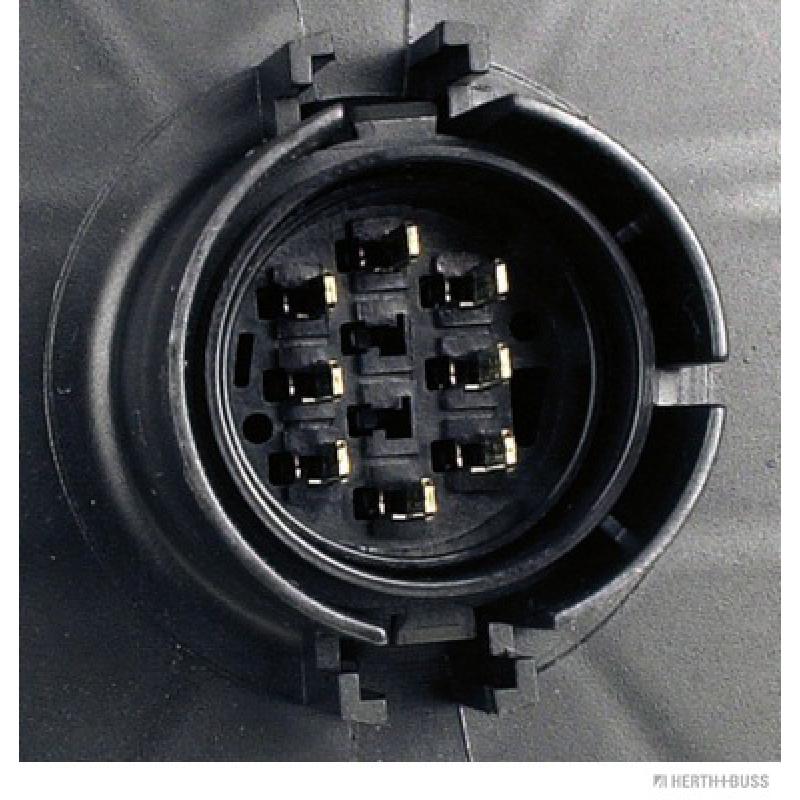 Feu arrière HERTH+BUSS ELPARTS 83840524 - Visuel 2