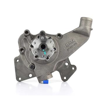 Pompe à eau BSG BSG 60-500-006