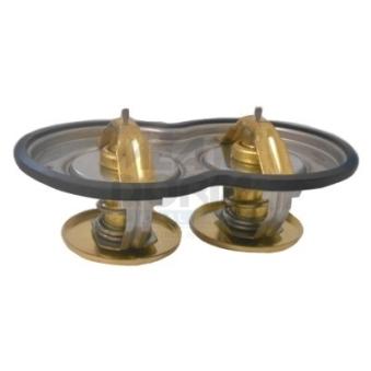 Thermostat d'eau MEAT & DORIA 92852