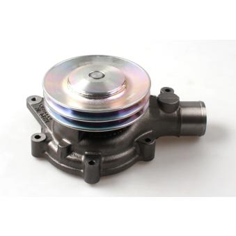 Pompe à eau HEPU P9983