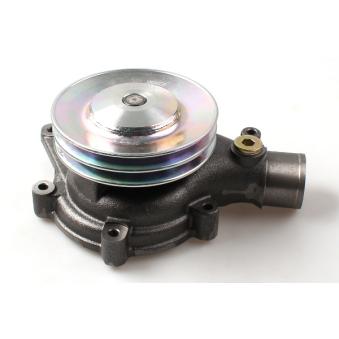 Pompe à eau HEPU P9984