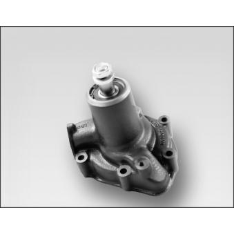 Pompe à eau HEPU P9903