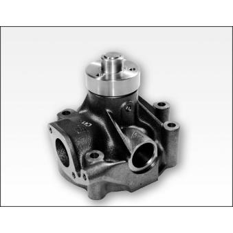 Pompe à eau HEPU P1181