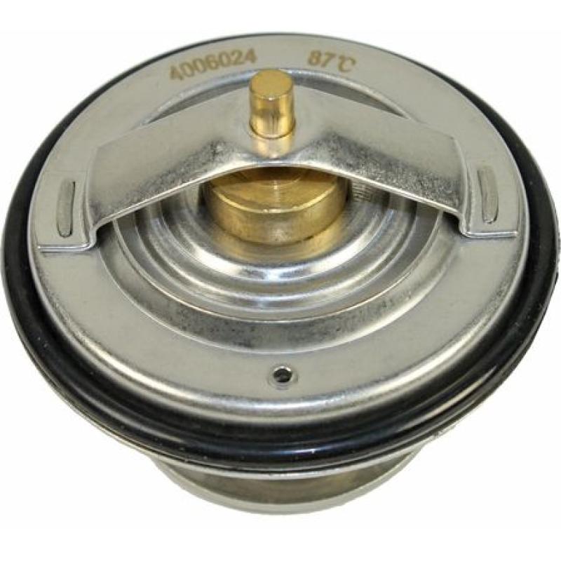 Thermostat d'eau METZGER 4006024 - Visuel 1