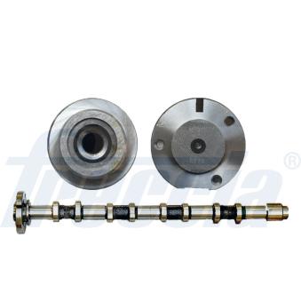 Arbre à came FRECCIA CM05-2289