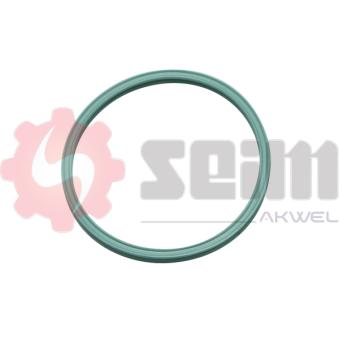 Gaine de suralimentation SEIM 981721