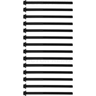 Jeu de boulons de culasse de cylindre VICTOR REINZ 14-10875-01