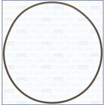 Joint d'étanchéité, collecteur d'admission AJUSA 16058900