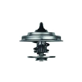 Thermostat d'eau MAHLE