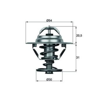 Thermostat d'eau MAHLE TX 10 81D