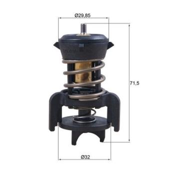 Thermostat d'eau MAHLE