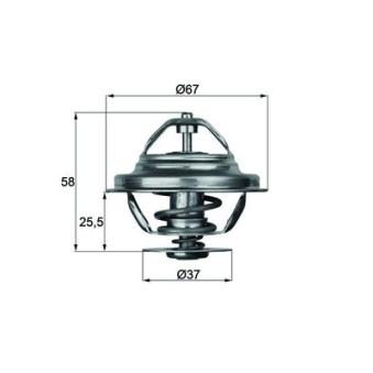 Thermostat d'eau MAHLE