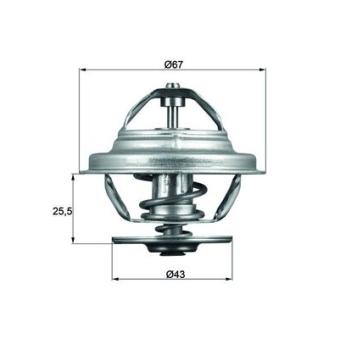 Thermostat d'eau MAHLE TX 56 71