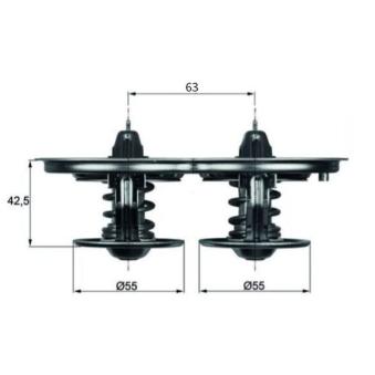 Thermostat d'eau MAHLE