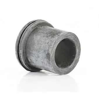 Coussinet de palier, ressort à lames BSG