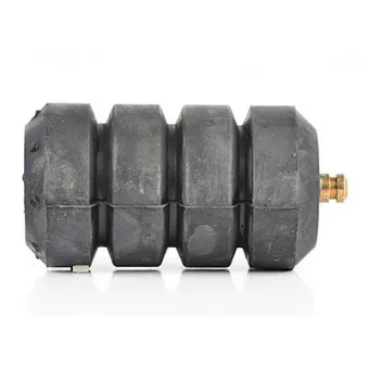 Butée élastique, suspension BSG