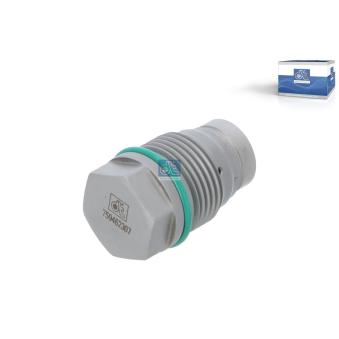 Soupape de surpression, système à rampe commune DT 3.20083