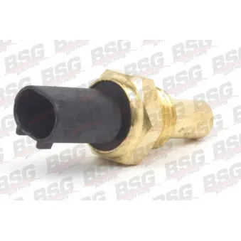 Sonde de température, liquide de refroidissement BSG