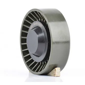 Poulie-tendeur, courroie trapézoïdale à nervures BSG