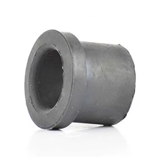 Coussinet de palier, ressort à lames BSG