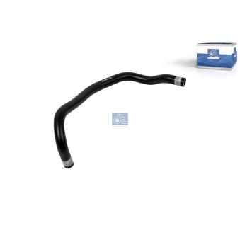 Durite de radiateur DT 1.11666