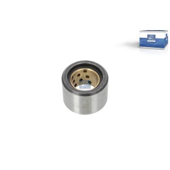 Poulie mâchoire de frein DT 10.13261