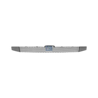 Grille de radiateur DT 1.23479