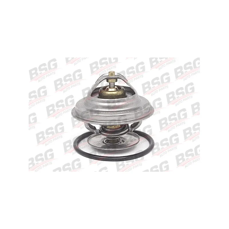 Thermostat d'eau BSG BSG 60-125-002