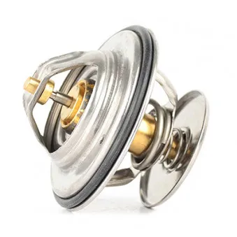 Thermostat d'eau BSG