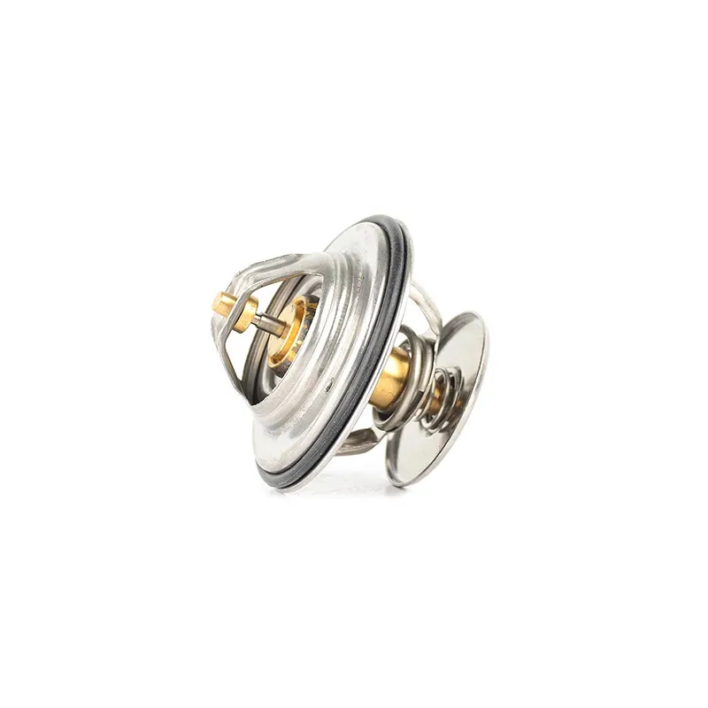 Thermostat d'eau BSG BSG 60-125-014